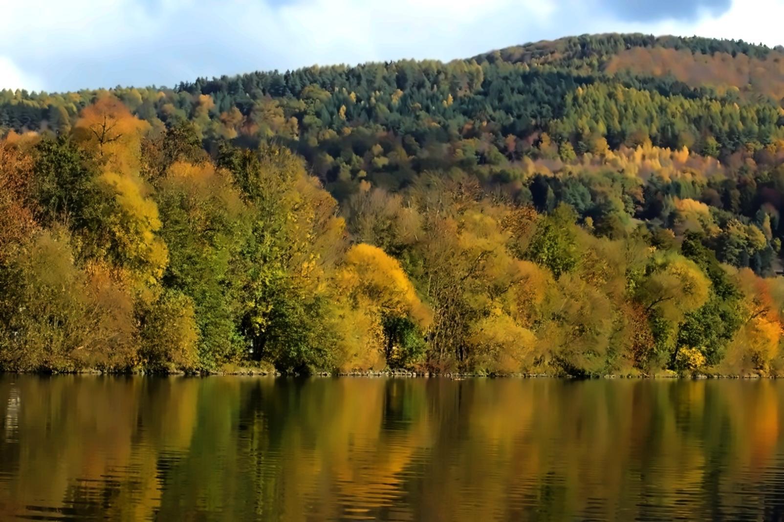 Formation terrain — analyse de communautés végétales en zone humide