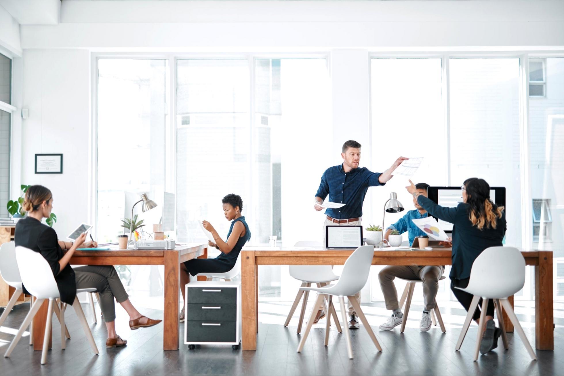 Environnement naturel — étude des phytocénoses et de l'écologie végétale