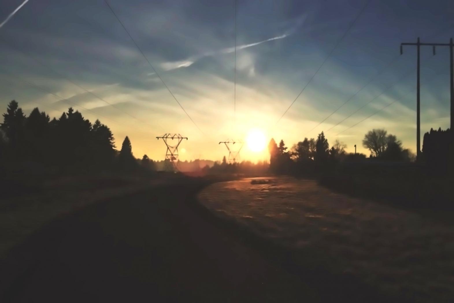 Documentation phytocénotique — inventaire de végétation forestière